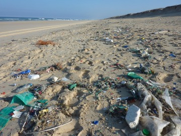 Basura en una playa