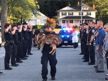  El emotivo homenaje de despedida a Hunter, un perro policía con cáncer 