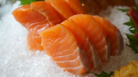 Salm&oacute;n