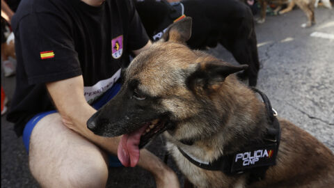 Los agentes de Policía y sus perros también se unen a correr Los agentes de Policía y sus perros también se unen a correr
