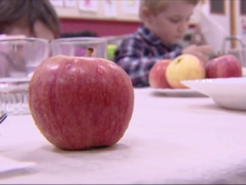  'Del campo al cole', una iniciativa que fomenta una alimentación agroecológica en los centros escolares