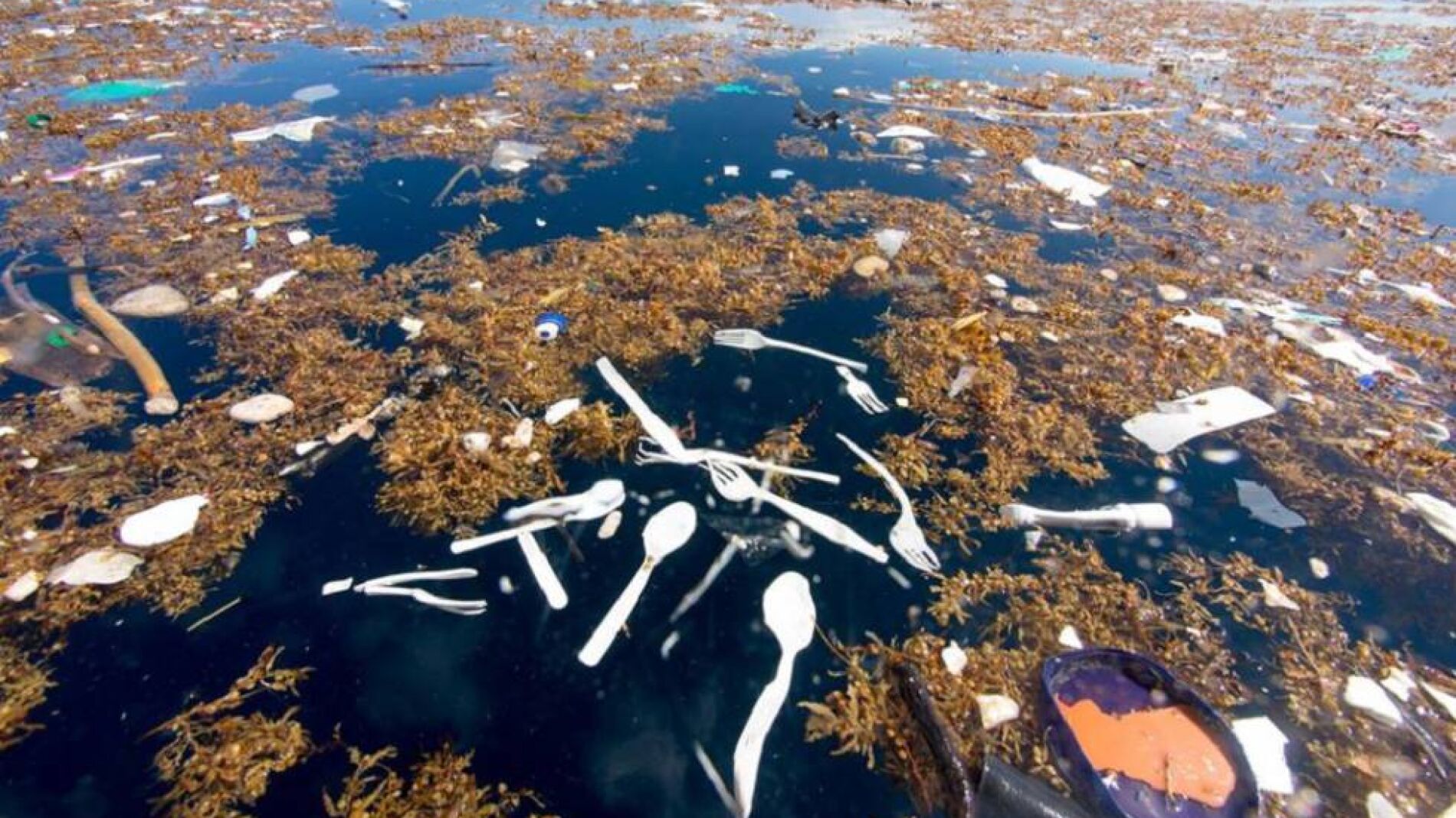 Hallan un mar de plástico en Honduras