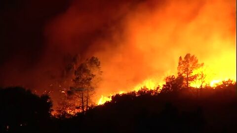 ¿Qué consecuencias tiene para el medio ambiente los incendios forestales de Galicia? ¿Qué consecuencias tiene para el medio ambiente los incendios forestales de Galicia?