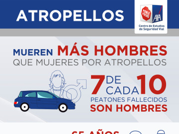 Radiograf&iacute;a de los atropellos en Espa&ntilde;a