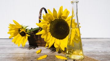 El consumo de aceite de girasol o de pescado dana el higado en ratas