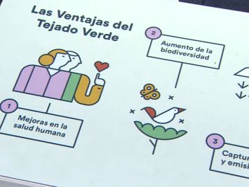 ¿Qué beneficios tienen los tejados verdes para el medio ambiente?