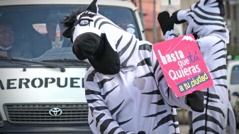 Un grupo de jóvenes cebras velan por la seguridad vial en las ciudades de Bolivia