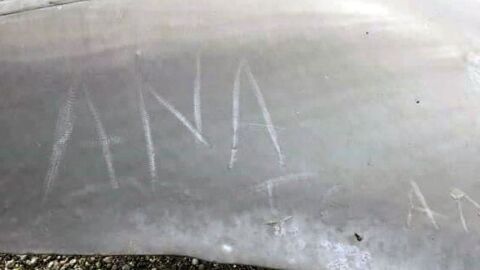 Dos mujeres pintan grafitis sobre una ballena muerta en Chile Dos mujeres pintan grafitis sobre una ballena muerta en Chile