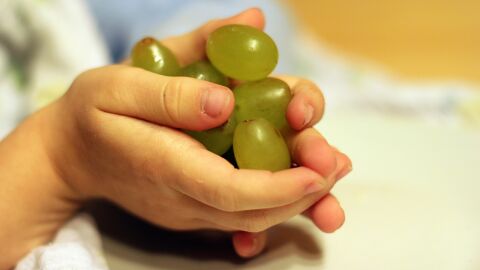 Las opciones m&aacute;s saludables para que tu hijo se lleve al recreo del colegio 