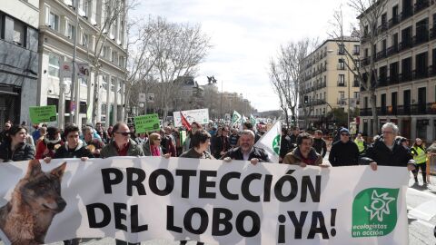 Unas 3.000 personas se manifiestan en Madrid para exigir la protección del lobo ibérico Unas 3.000 personas se manifiestan en Madrid para exigir la protección del lobo ibérico