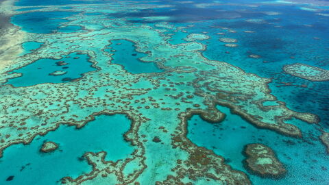 Fotografía facilitada por la Autoridad del Parque Marino de la Gran Barrera de Coral Fotografía facilitada por la Autoridad del Parque Marino de la Gran Barrera de Coral