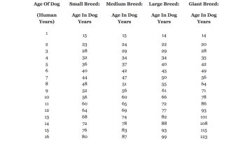 Humanos y perros: tabla de equivalencias en edad