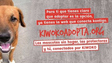 'KiwokoAdopta',