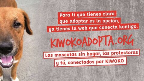 'KiwokoAdopta',