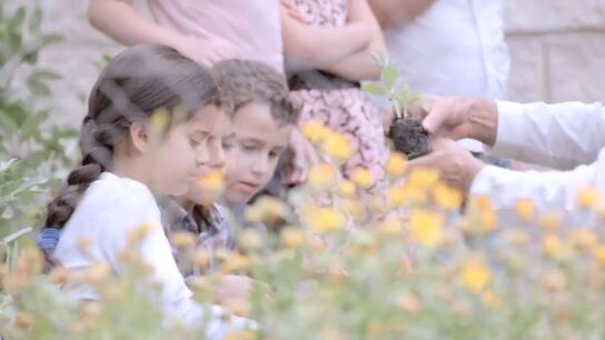 <p>Tercer premio de la VI edición de Coles Activos: CP Antonio Machado de Madrid</p>