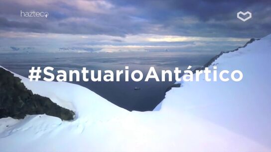 Hazte Eco se une Greenpeace para convertir el Antártico en la mayor área protegida del mundo Hazte Eco se une Greenpeace para convertir el Antártico en la mayor área protegida del mundo