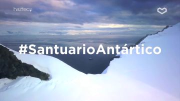 Hazte Eco se une Greenpeace para convertir el Antártico en la mayor área protegida del mundo