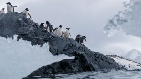 El aumento de temperaturas está provocando un deshielo acelerado en el Ártico El aumento de temperaturas está provocando un deshielo acelerado en el Ártico