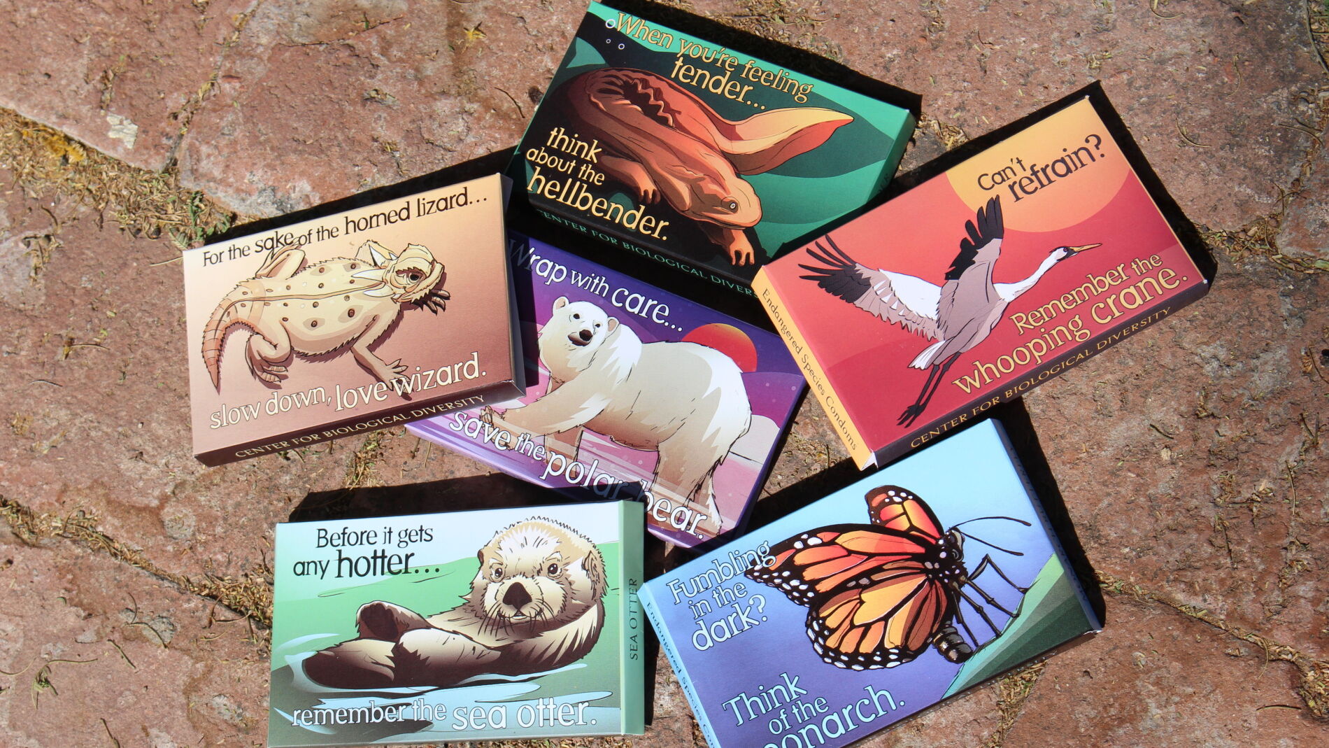 Condones gratis para concienciar sobre los animales en peligro de extinción 