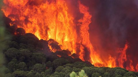 3.676 INCENDIOS DURANTE LOS PRIMEROS SIETE MESES DEL A&Ntilde;O