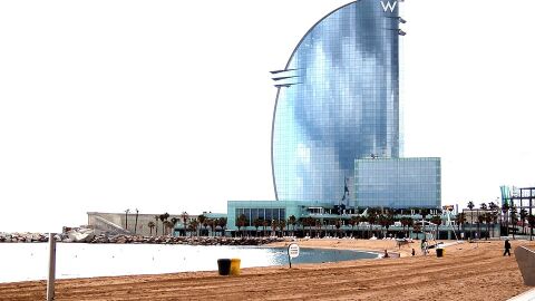 Ocho nuevos arrecifes para potenciar la biodiversidad marina en el litoral metropolitano de Barcelona HÁBITATS Y REFUGIO PARA LA FLORA Y LA FAUNA