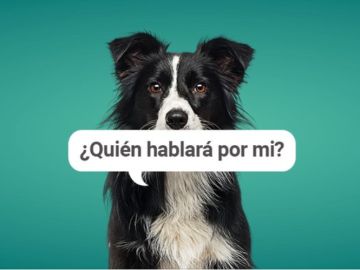 'Quién hablará por mí', campaña contra el maltrato animal del Oasis Park Fuerteventura