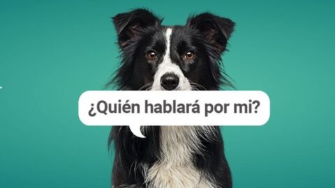 'Quién hablará por mí', campaña contra el maltrato animal del Oasis Park Fuerteventura 'Quién hablará por mí', campaña contra el maltrato animal del Oasis Park Fuerteventura
