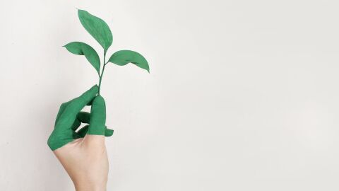 El CPIFP San Blas será centro de referencia nacional en respeto al medioambiente y bioeconomía El CPIFP San Blas será centro de referencia nacional en respeto al medioambiente y bioeconomía