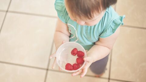 Por qué los niños no siguen una alimentación adecuada Por qué los niños no siguen una alimentación adecuada