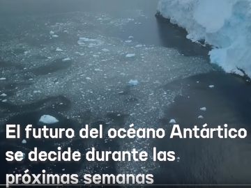 España apoya la creación del Santuario Antártico
