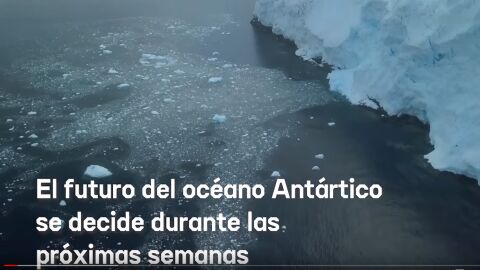 España apoya la creación del Santuario Antártico España apoya la creación del Santuario Antártico