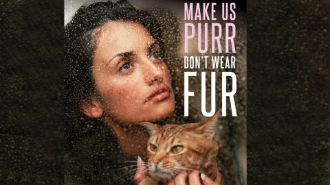 Cartel de Penélope Cruz para PETA Cartel de Penélope Cruz para PETA