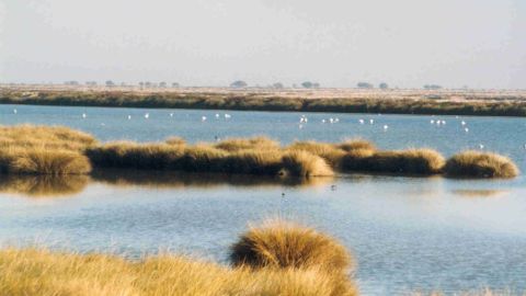 Doñana Doñana