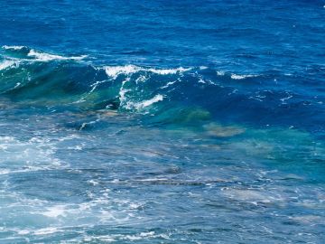 Las olas de calor marinas amenazan la biodiversidad de los oceanos