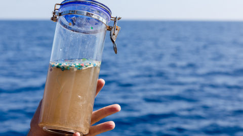 Micropl&aacute;sticos recogidos en el mar.
