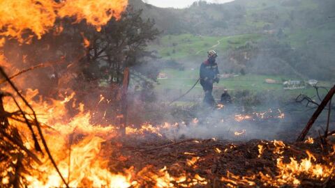 Un efectivo del Cuerpo de Bomberos de Cantabria durante las labores de extinción de un incendio forestal Un efectivo del Cuerpo de Bomberos de Cantabria durante las labores de extinción de un incendio forestal