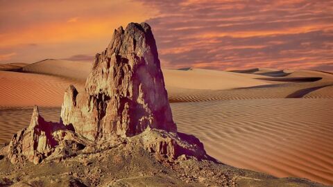 Paisaje des&eacute;rtico