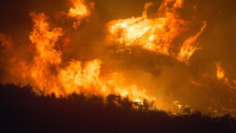 Incendio forestal