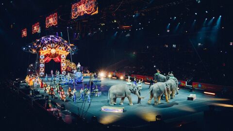 Circo con animales salvajes