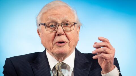 El naturalista David Attenborough: "Todo ha cambiado mucho, la vida salvaje está desapareciendo." El naturalista David Attenborough: "Todo ha cambiado mucho, la vida salvaje está desapareciendo."