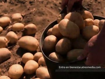 Añade la patata a tus platos: es uno de los alimentos más versátiles, completos y saludables