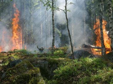 Un software calcula el impacto economico de los incendios forestales