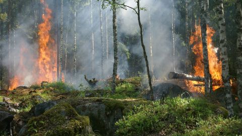 Imange de archivo de un incendio forestal. Un software calcula el impacto economico de los incendios forestales