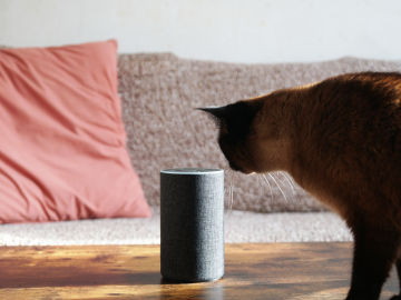 Amazon permitir&aacute; eliminar lo almacenado en Alexa, su asistente virtual. 