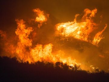 Incendio forestal