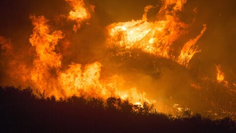 Incendio forestal Incendio forestal