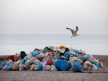 Basura en una playa coruñesa tras la fiesta de San Juan