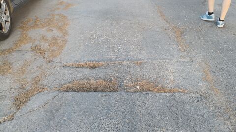 Estado lamentable en calle residencial San Javier La calle Paseo Senda del Recuerdo de la Localidad de San Javier está en un estado pésimo y lamentable, el asfaltado tiene unas grietas de bastante consideración y tiene zonas de asfaltado con bastante elevación y grietas debido a las raíces de los árboles que hay a su alrededor. El estado de esta calle lleva ya unos años pero debido a las lluvias torrenciales de estos últimos años han empeorado considerablemente es el estado de la calle.
