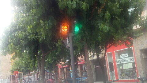 En Avilès(Asturias)avda los telares numero 17 un árbol impide ver el semáforo lo que hace frenar bruscamente cuando estás encima