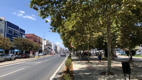 Señal oculta Las señales de tráfico de la avenida Ronda Norte de Isla CRISTINA están semi o tapadas por las ramas de los árboles que llevan años sin posarse.